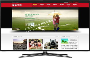 奉贤企业网站建设与维护指南 打造上海本地化网络形象